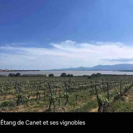 Coquet